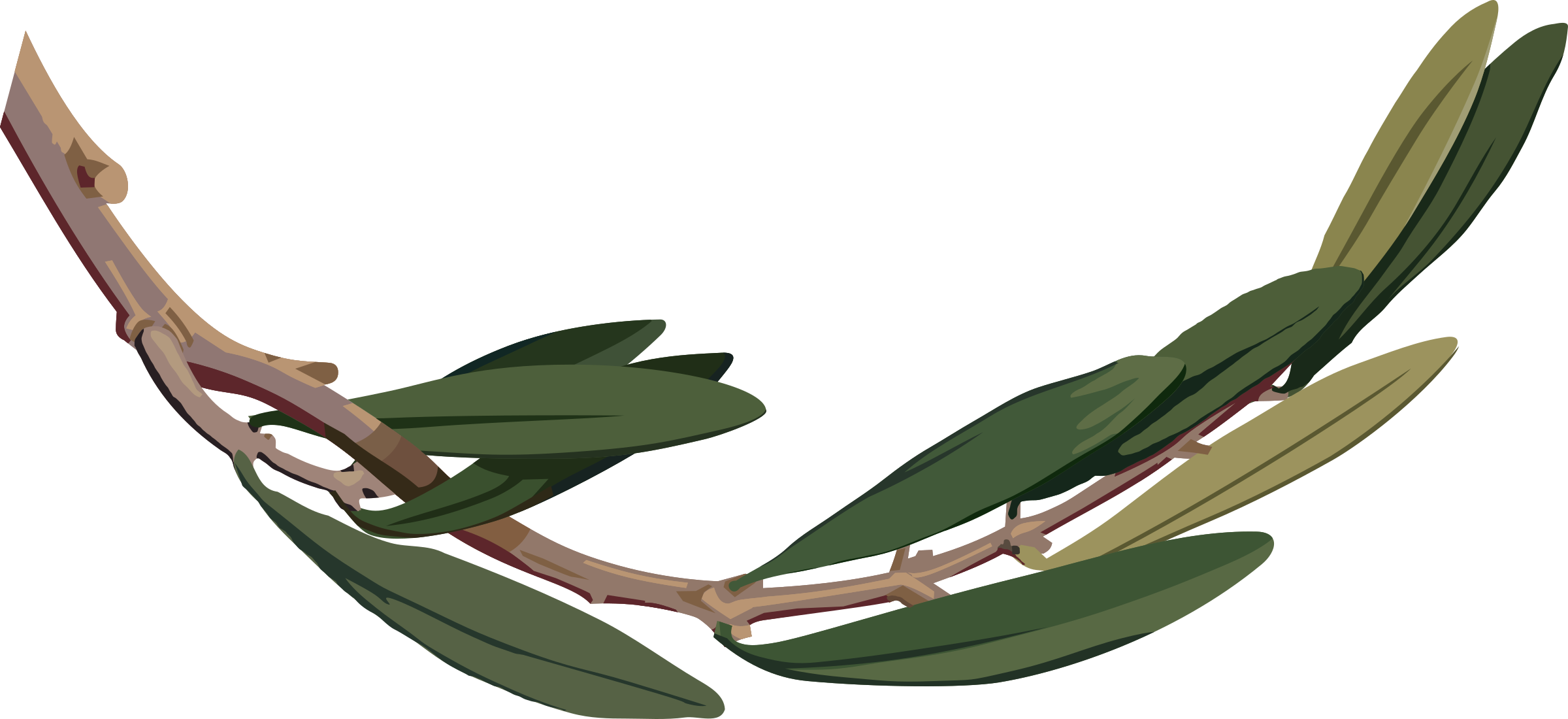 Big Image - Olive Branch Png (2400x1100)