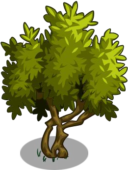 Harvested - Farmville Olive Tree (300x400)