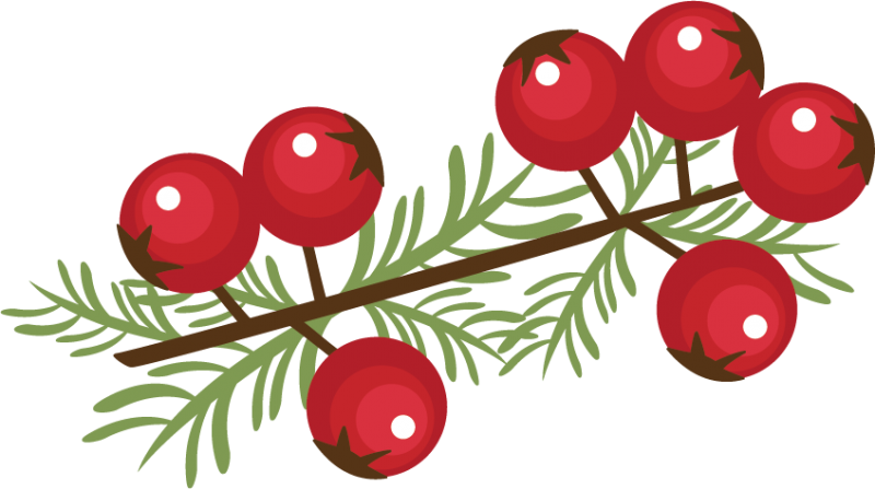 Holley Clipart Winter - Christmas Berries Clip Art (800x447)