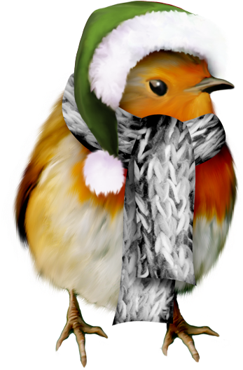 Winter Bird Clip Art - Pre-cut Winter Robin Edible Rice / Wafer Paper Cupcake (507x603)