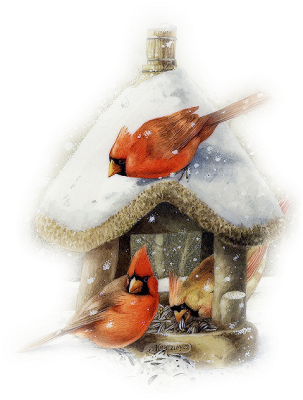 Wb-09 - Marjolein Bastin Winter (303x400)