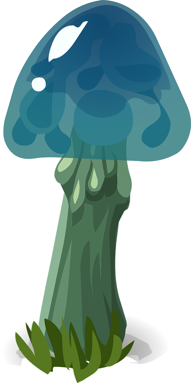 Mushroom Blue Hat Nature Outdoor Transparent Image - Mushroom (640x1280)