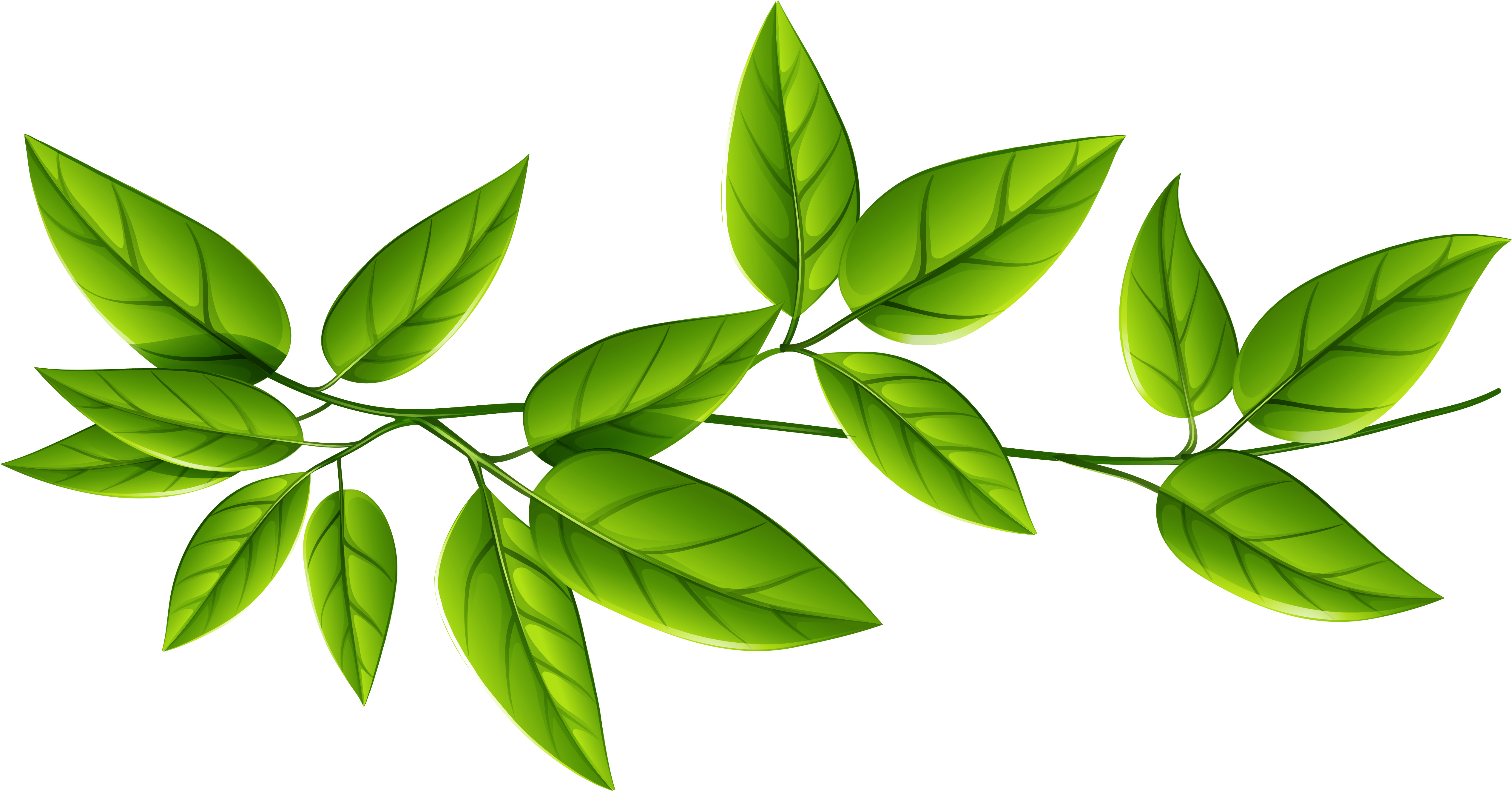 Green Leaves Png Imageu200b Gallery Yopriceville - Green Leaves Transparent Background (5164x2760)