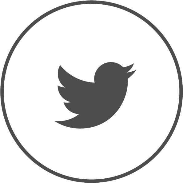 Logo Twitter Gamer (616x618)