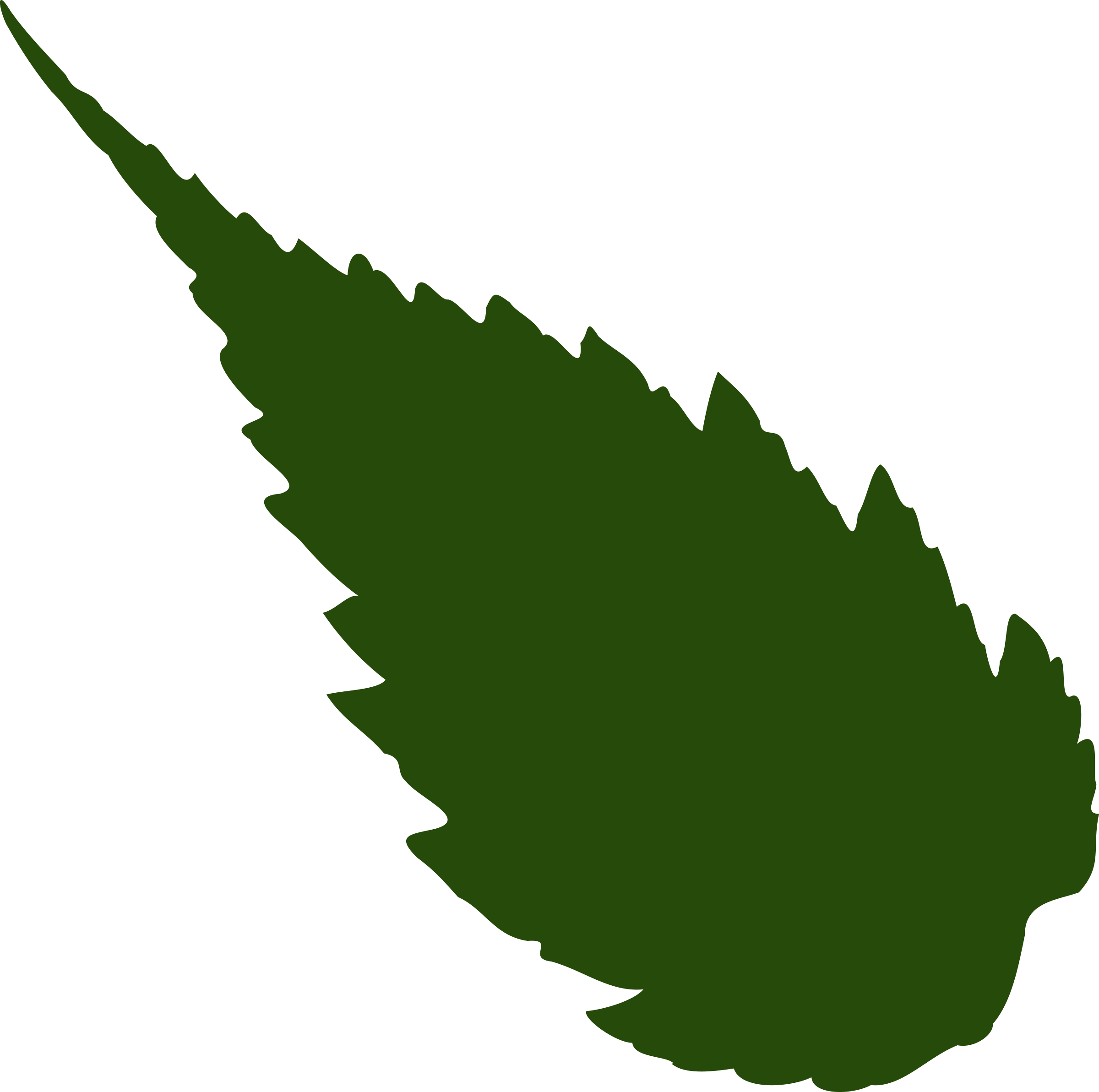 Clipart - Leaf - Rose Leaf Vector Png (2400x2385)