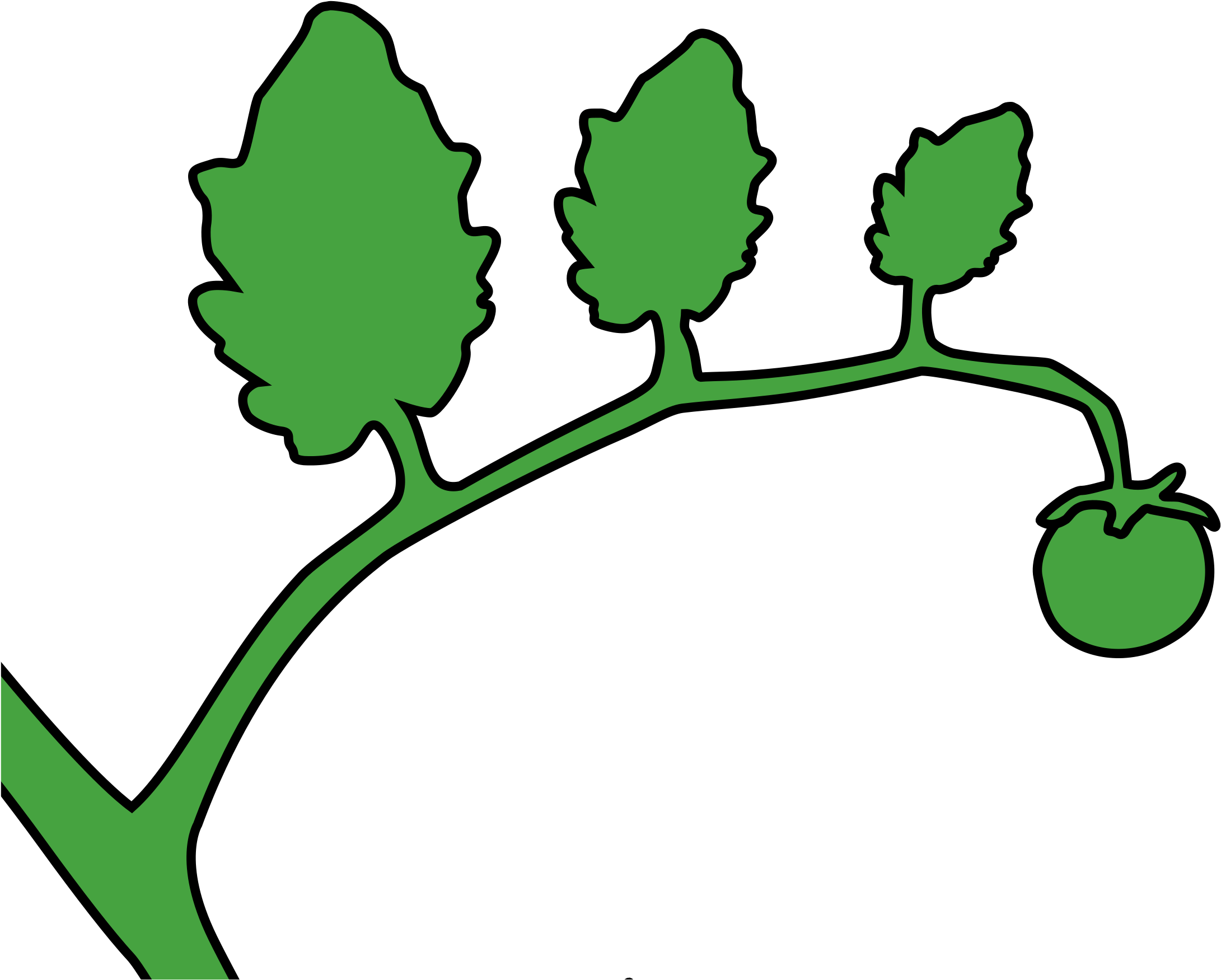 Tomato Vine Clip Art - Tomato (2400x1970)
