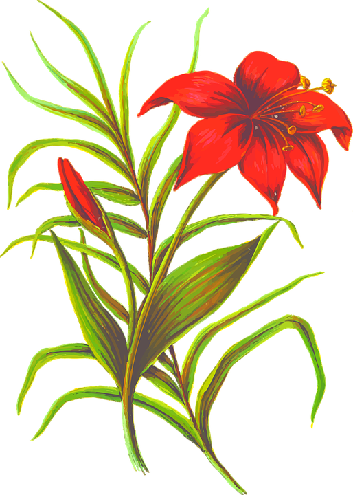 Petal Clipart Flower Leaf - Silhouette Flower Png (514x720)