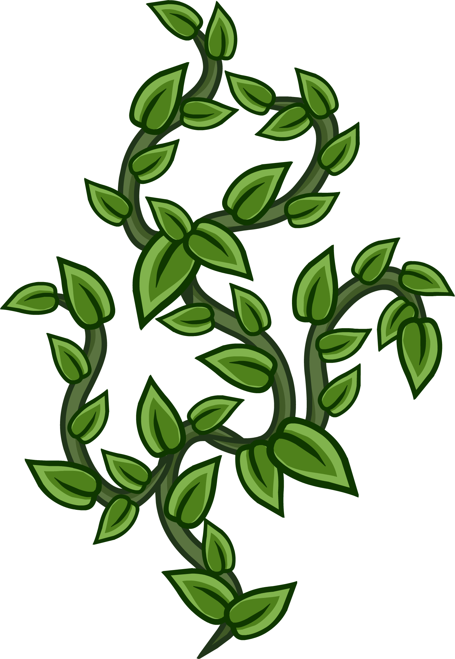 Vines - Vines Png (1485x2147)