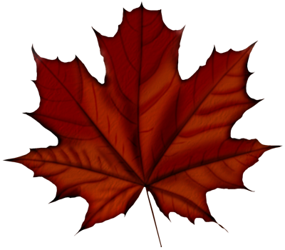 Похожее Изображение - Maple Leaf Vector (400x350)