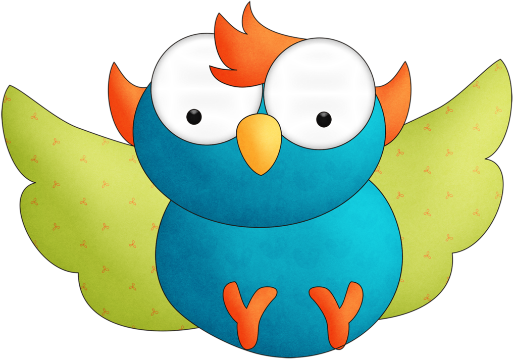 Little Owl Bird Beak Clip Art - Owl (1024x721)