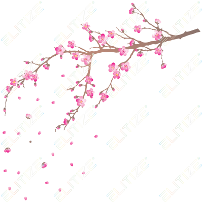 Adesivos Adesivo Decorativo Galho De Cerejeira Png - Flores De Cerejeira Png (400x400)