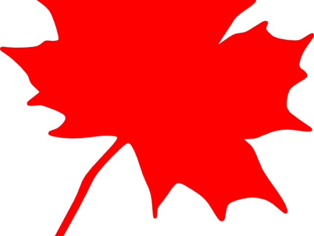 Maple Leaf Clipart - Maple Leaf Clip Art (640x480)