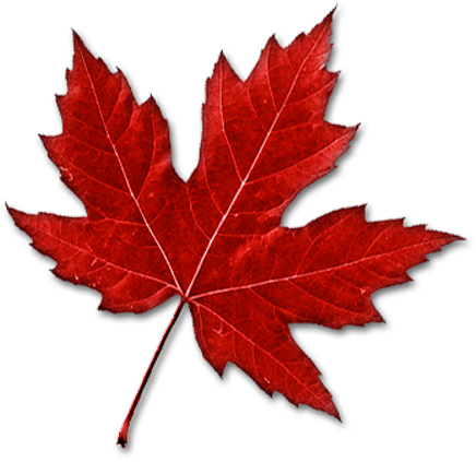 Canada Maple Leaf Clip Art - Canadian Maple Leaf Clipart (537x531)