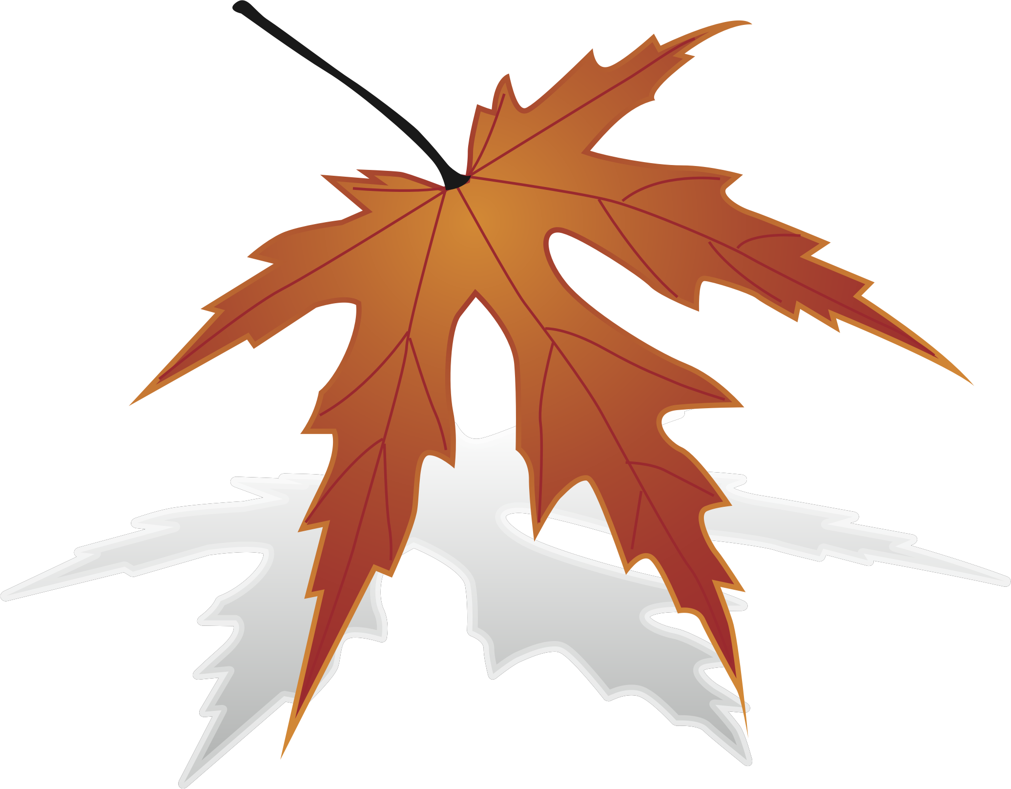 Japanese Maple Maple Leaf Clip Art - Japanese Maple Maple Leaf Clip Art (2071x1616)