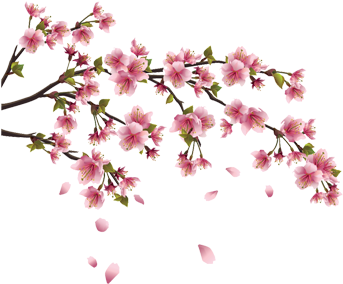 The Wall Decal Shop - Cherry Blossom Branch (350x350)