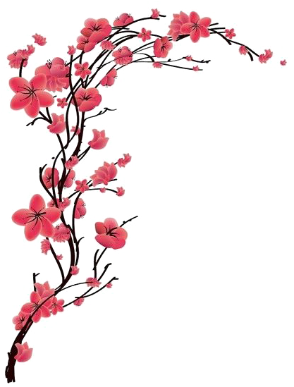 Cherry Blossom Tattoo Red Peach Transprent Free Png - Cherry Blossom Tattoo Red Peach Transprent Free Png (508x650)