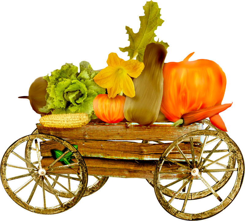 Autumnclip Art - Car (800x720)