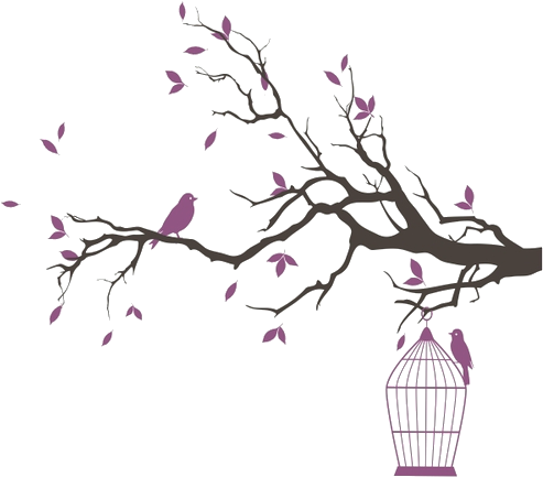 Drawing Bird Cages Bird Cage Birds Dream Epic Favim - Cute Bird Cage Png (500x500)