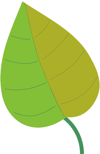 Green Clipart Autumn Leaves - Illustration (444x591)