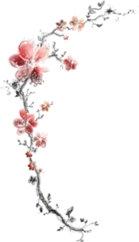 Flowers - Korean Psd (275x480)