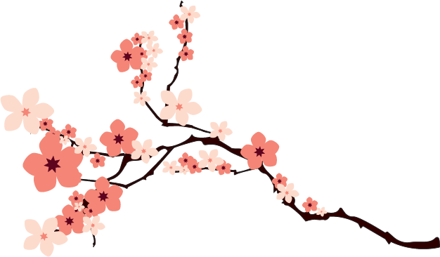 Cherry Blossom Clipart Transparent - Cherry Blossom Vector Png (626x366)