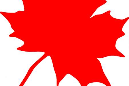 Maple Leaf Clipart Small Leaf - Maple Leaf Clip Art (450x300)