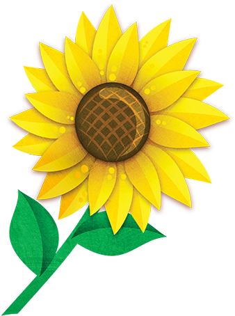Sunflower - Sunflower (500x500)