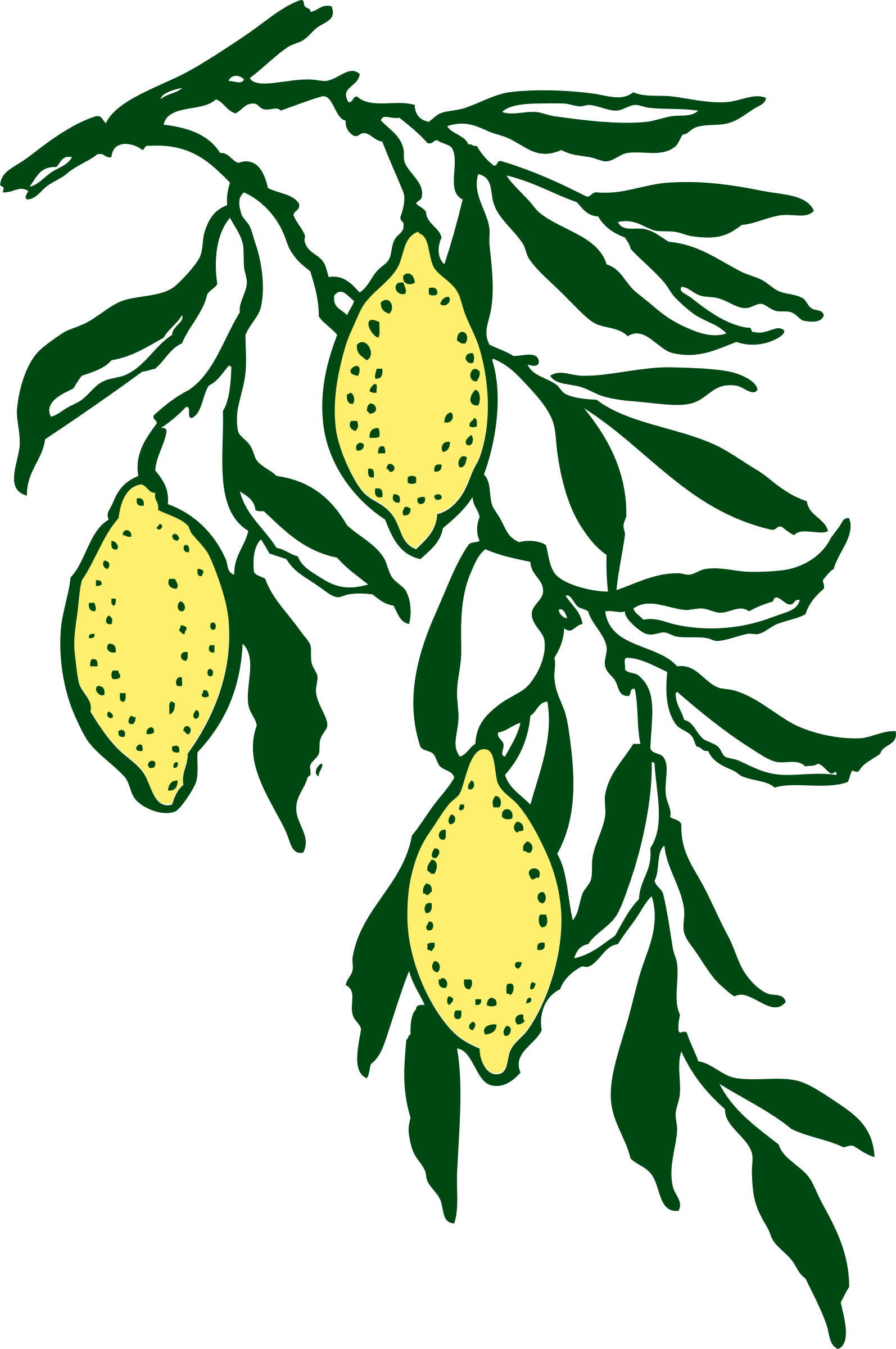 Free Vector Lemon Branch Clip Art - Lemon Branch Clip Art (1594x2400)