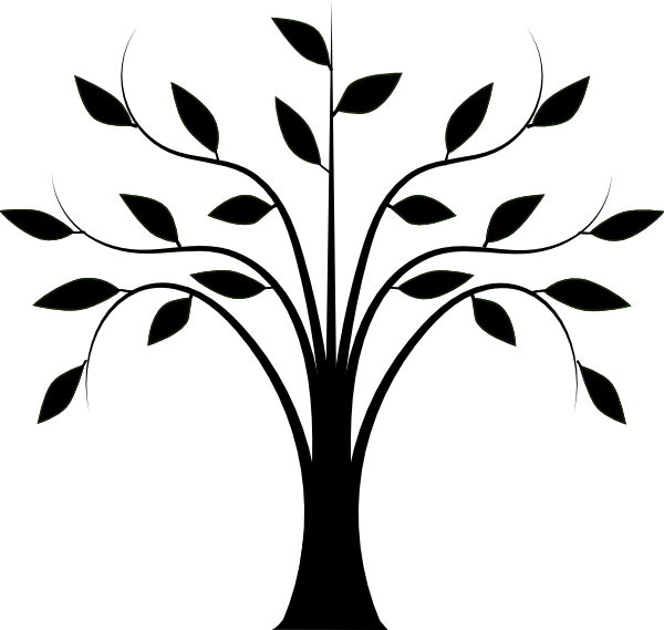 Tree With Leaves Clipart - Line Drawing Of Tree (600x569)