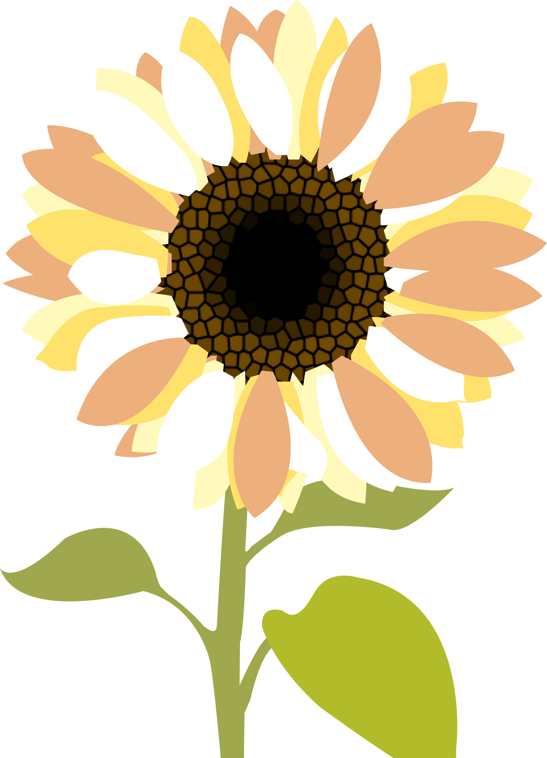Sunflowers Clip Art Medium Size - Sunflower Wedding Clip Art (1767x2446)