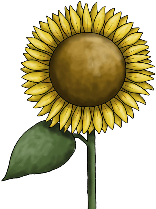 Sunflower Free To Use Clip Art - Rosette Png (580x700)