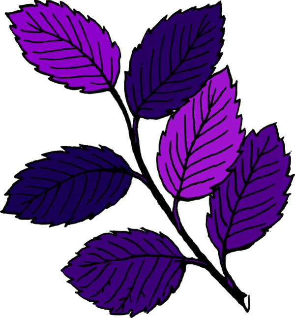 Leaf Branch Clipart - Autumn Leaf Branch Embroidery Design (600x646)