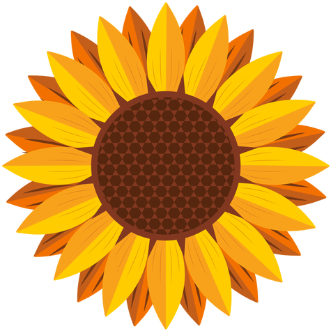 How To Draw A Sunflower Really Easy Drawing Tutorial - Sunflower Vector (512x512)