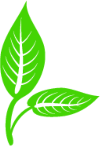 Leaf Vector Clip Art Cartoon Psd, Leaf Vector Logo, - Illustration (640x640)
