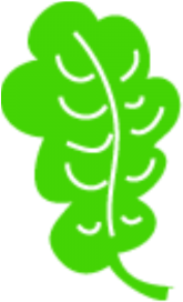 Clip Art Leaf Vector Green Psd Png Free, Leaf Vector - Euclidean Vector (360x360)