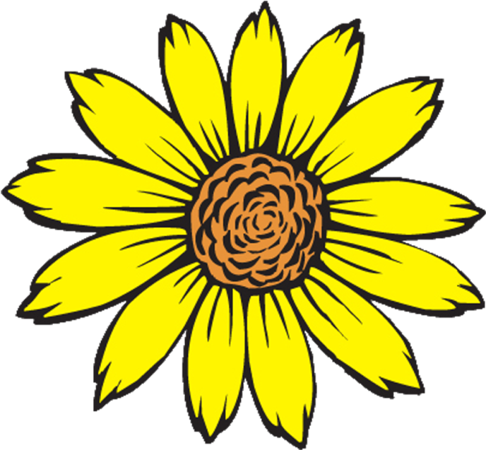 Improving The Insulation In The Walls And Windows Will - Sunflower Flower Coloring Pages (695x649)
