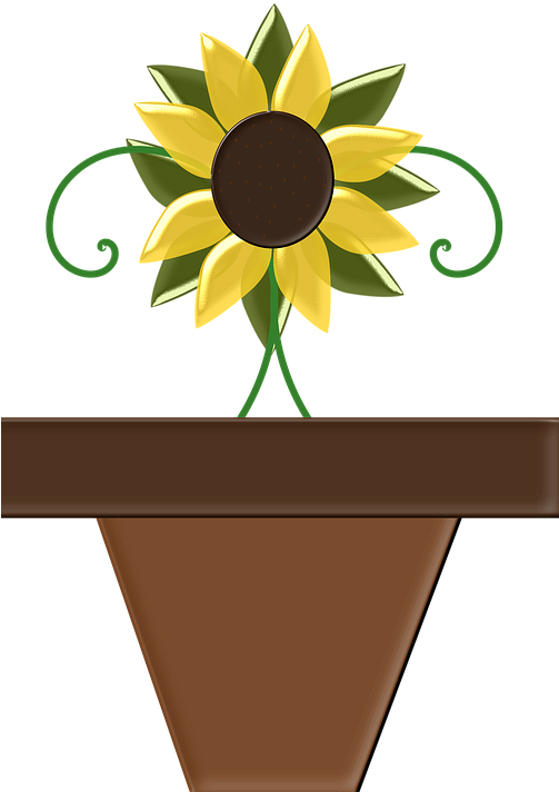 Vintage Sunflower Cliparts 14, Buy Clip Art - Bunga Matahari Di Pot (502x720)