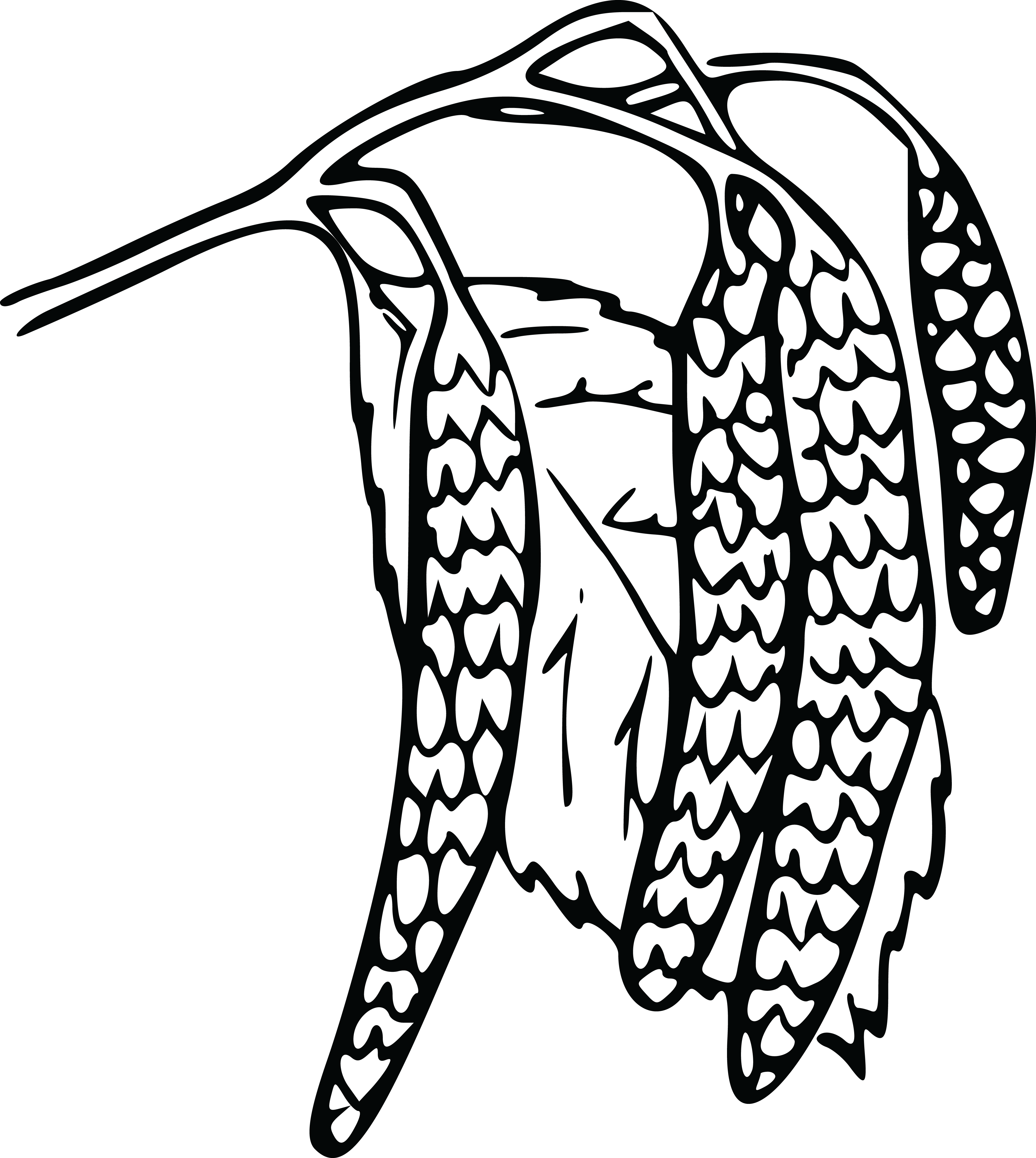 Free Clipart Of A Branch With Catkins - Catkin (4000x4472)