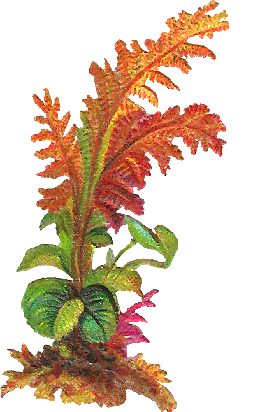 The Second Digital Leaves Download Is Also Designed - The Second Digital Leaves Download Is Also Designed (1003x1600)