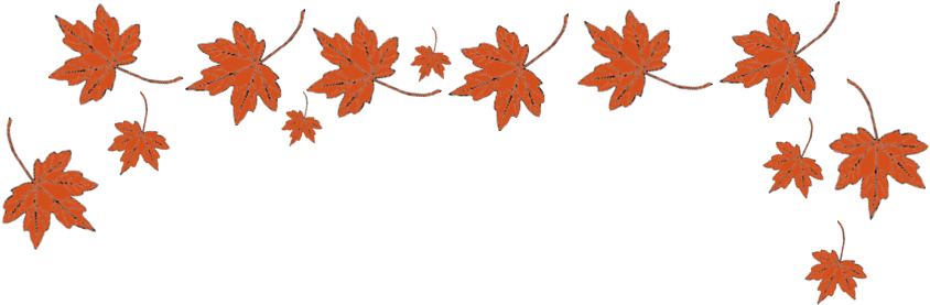 Autumn Leaf Banner - Fall Leaves Clip Art (893x317)