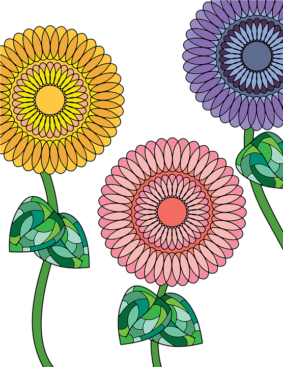 Vintage Sunflower Cliparts 21, Buy Clip Art - Zinnia (556x720)