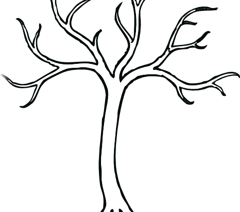480 X 600 - Bare Tree Clip Art (480x425)