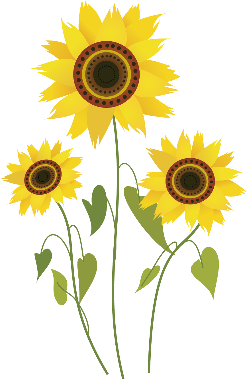 Common Sunflower Drawing Computer File - Sunflowers Drawing Png (867x1329)