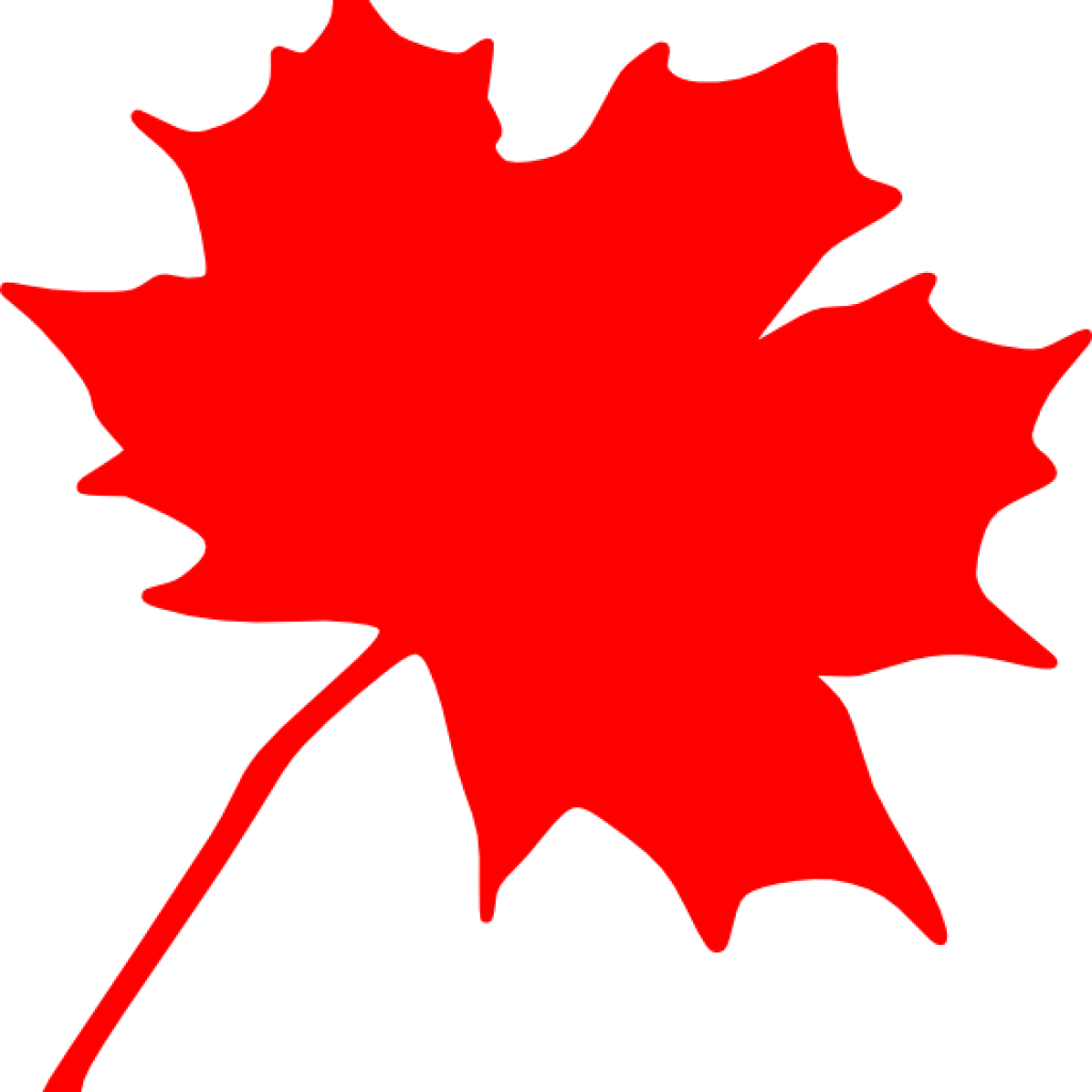 Maple Leaf Clip Art Maple Leaf Clip Art At Clker Vector - Canadian Maple Leaf Clip Art (1024x1024)