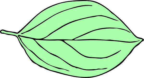 Another Light Green Oval Leaf Clip Art At Clker - Oval Leaf (600x327)