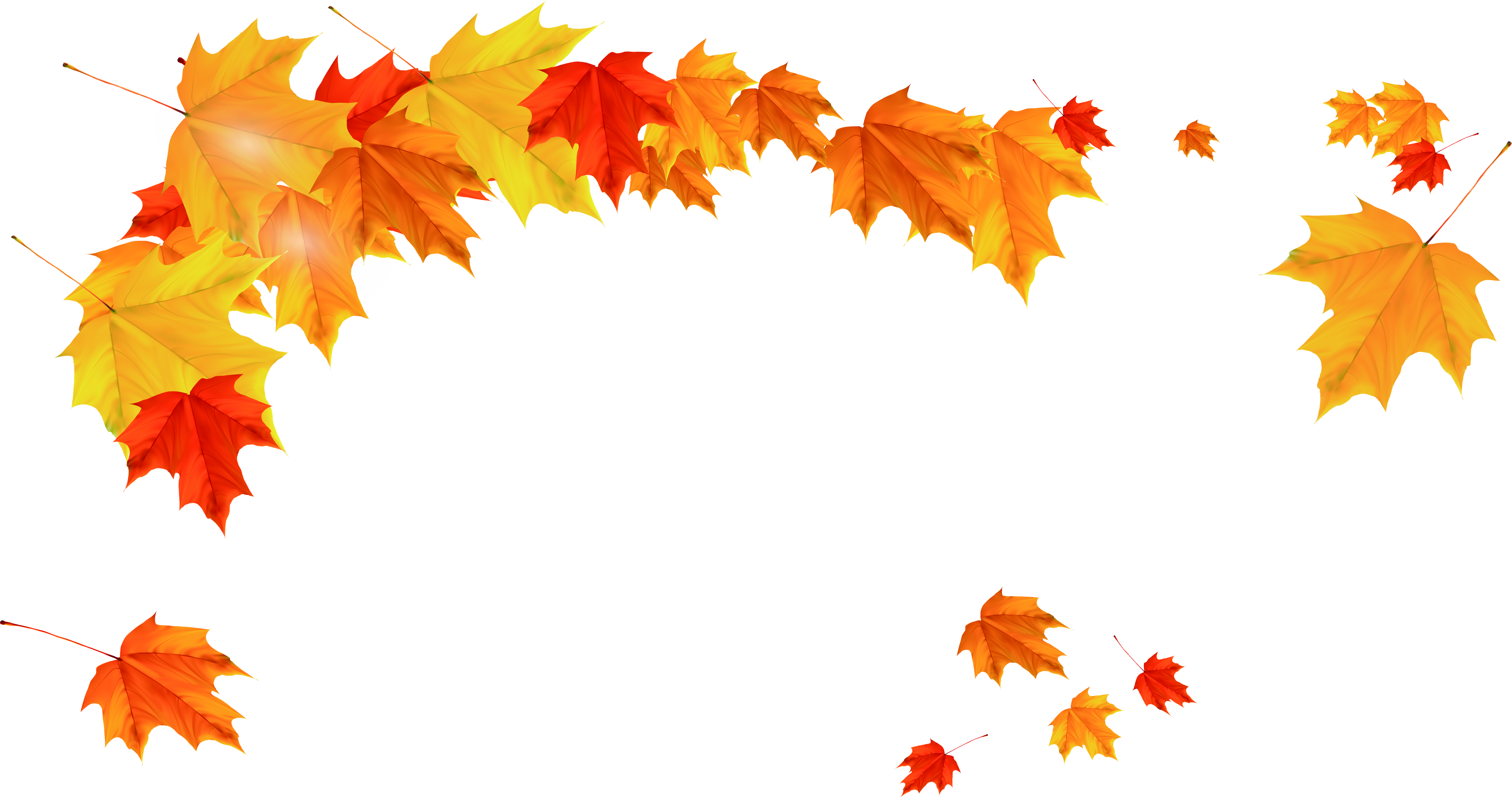 Maple Leaf Autumn - Yellow Leaves Border Png (6704x3539)