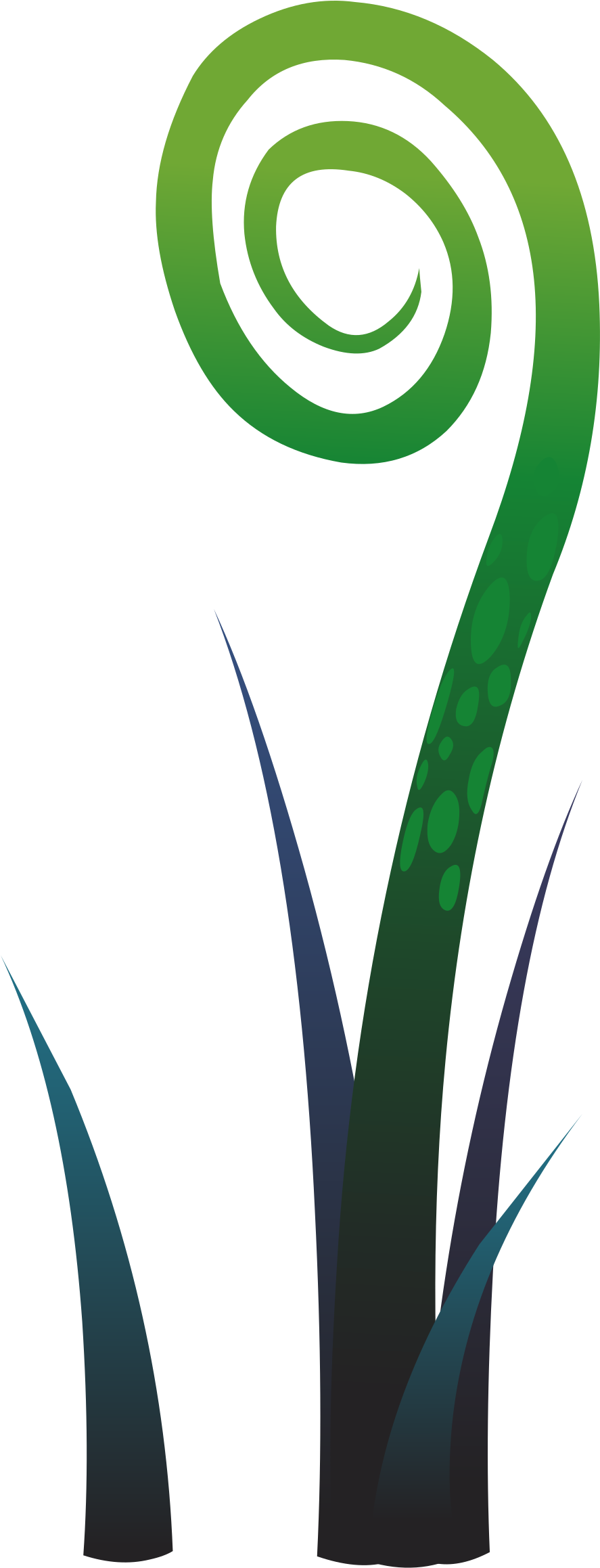 Plant Fern 4 - Green (904x2400)