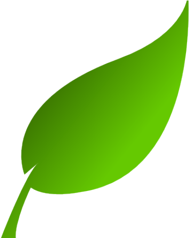 Green Leaf Clipart - Green Leaf Clip Art (640x480)