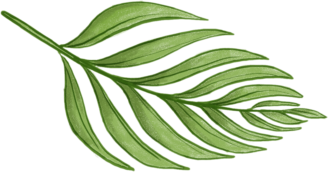 Never Not Knitting - Fern Pattern Png (1122x589)