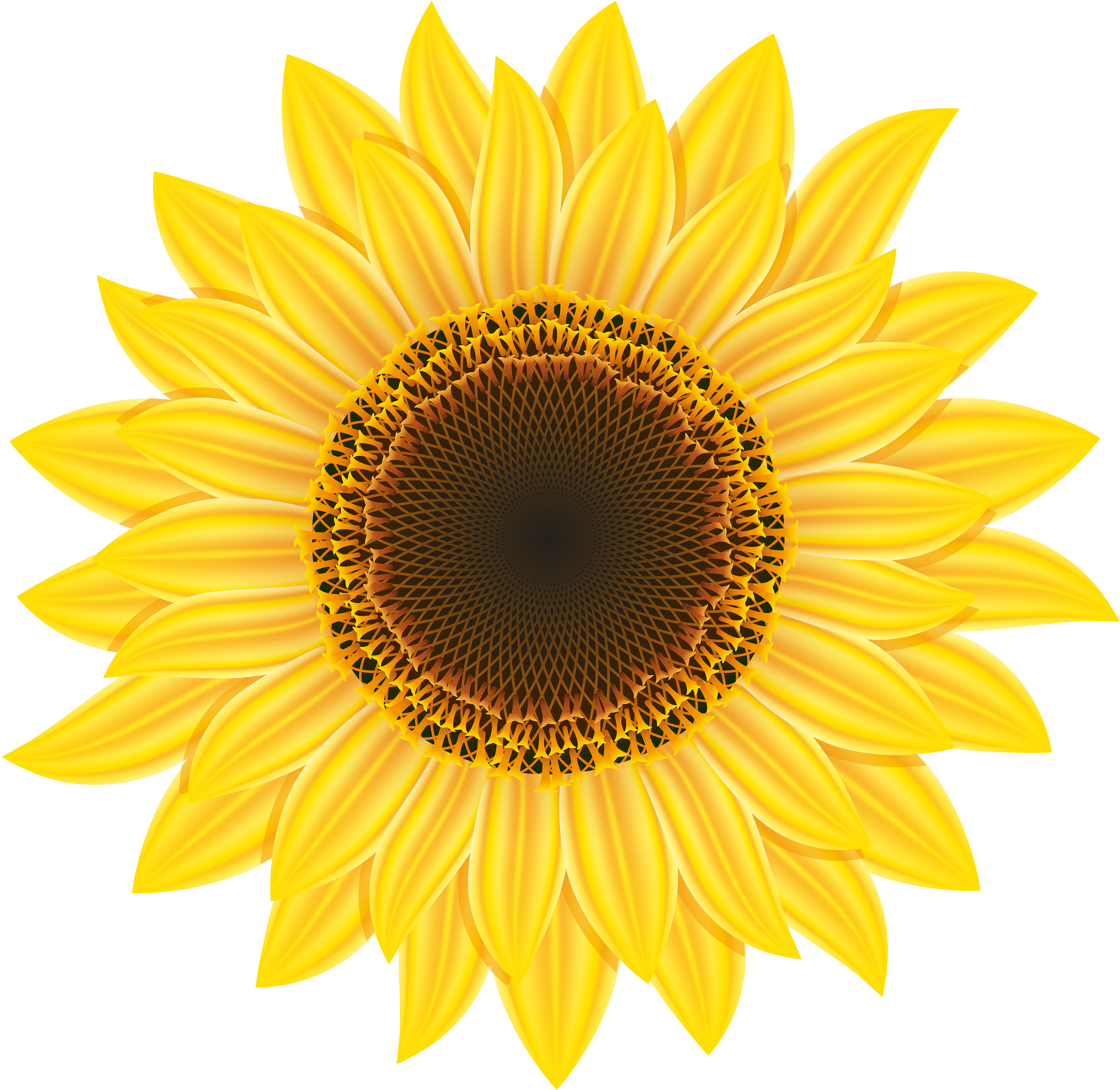Sunflower Png Clipart - Sunflower Free Clip Art (3000x2919)